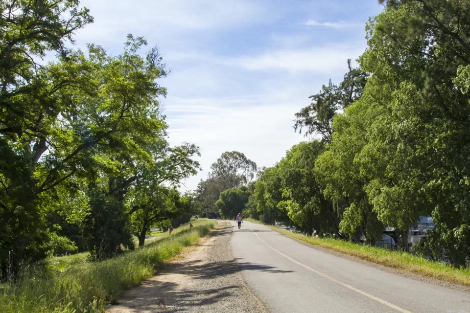 American River Bike Trail, Sacramento, CA